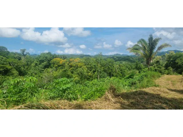 Mountain View property for sale in Samara, stunning 360 nature views land perfect for building - Gallery image 9