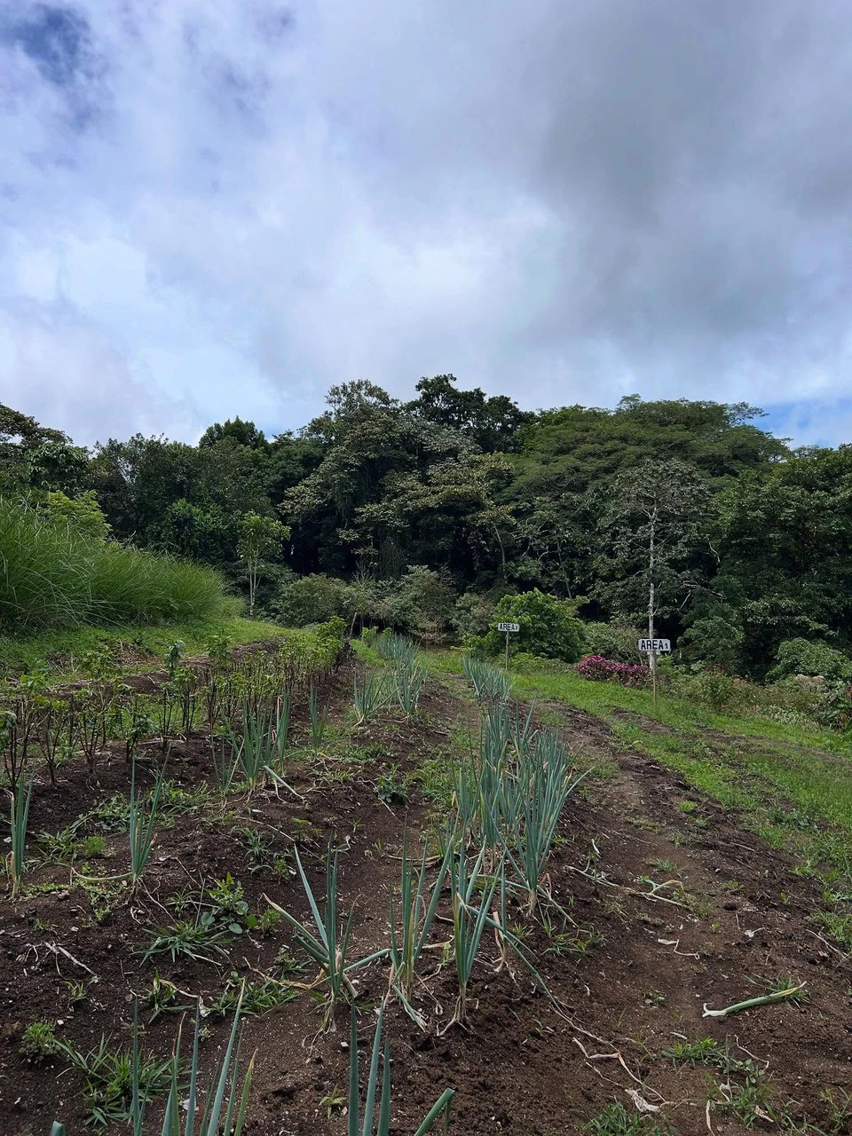NATURES BOUNTY - Certified Organic Farm - Gallery image 18