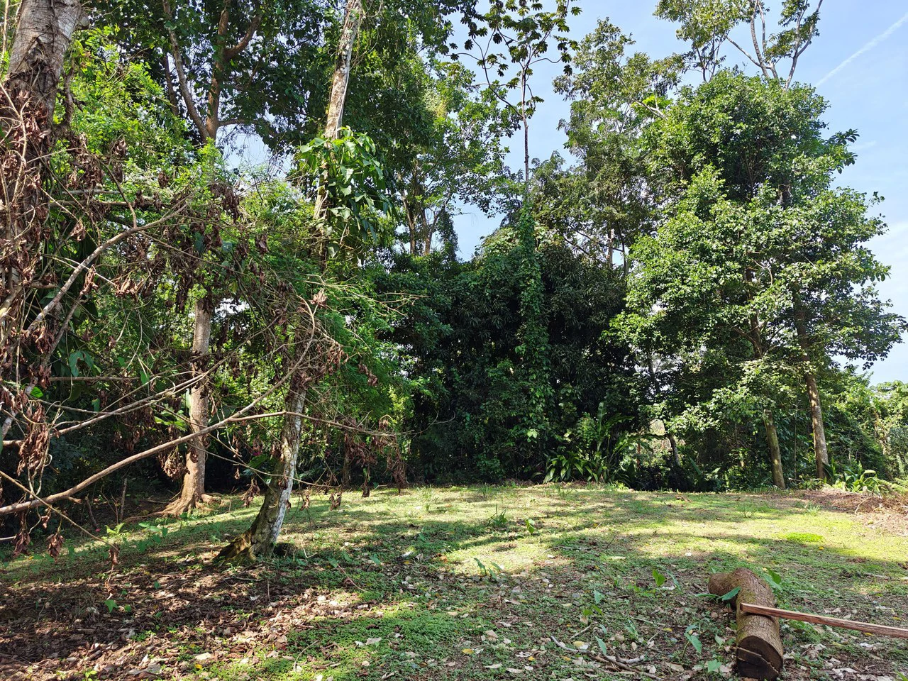 61,618m² of Land near Cahuita: With Existing Infrastructure and Ocean View - Gallery image 4