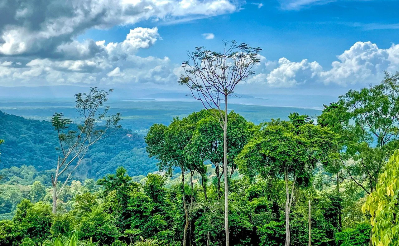 1.32 ACRES- Spectacular Ocean View In Tres Rios, Large Building Site, Legal Water And Electricity, Ready To Build & Close to Beaches!! - Gallery image 10