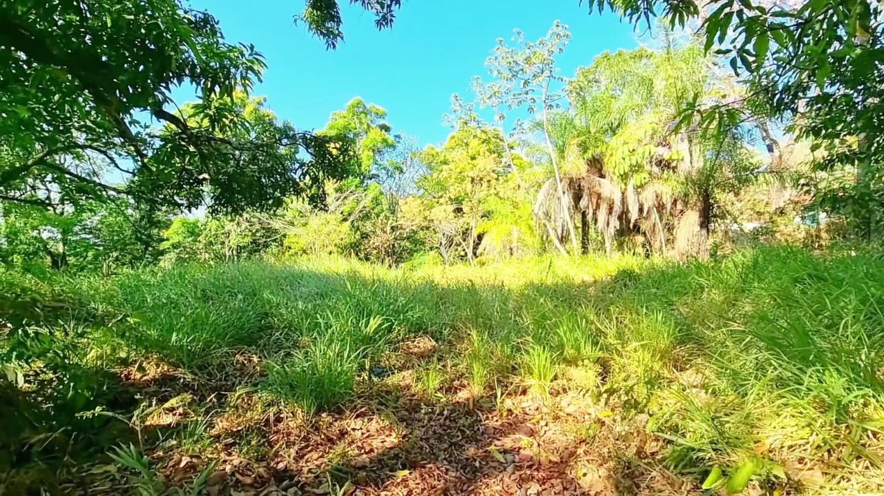 Lot for sale in Alegria Village: BEAUTIFUL LOT FOR SALE IN THE HEART OF ALEGRIA VILLAGE (10602 SQFT) - Gallery image 9