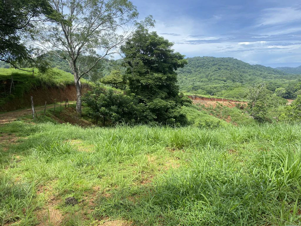 Finca Rio El Carmen: 3 HA Finca with Elevation Across from Renowned Rio Ora, 1 HA parcels available, Three 1700 m2 lots - All available in Rustic El Carmen - Gallery image 10