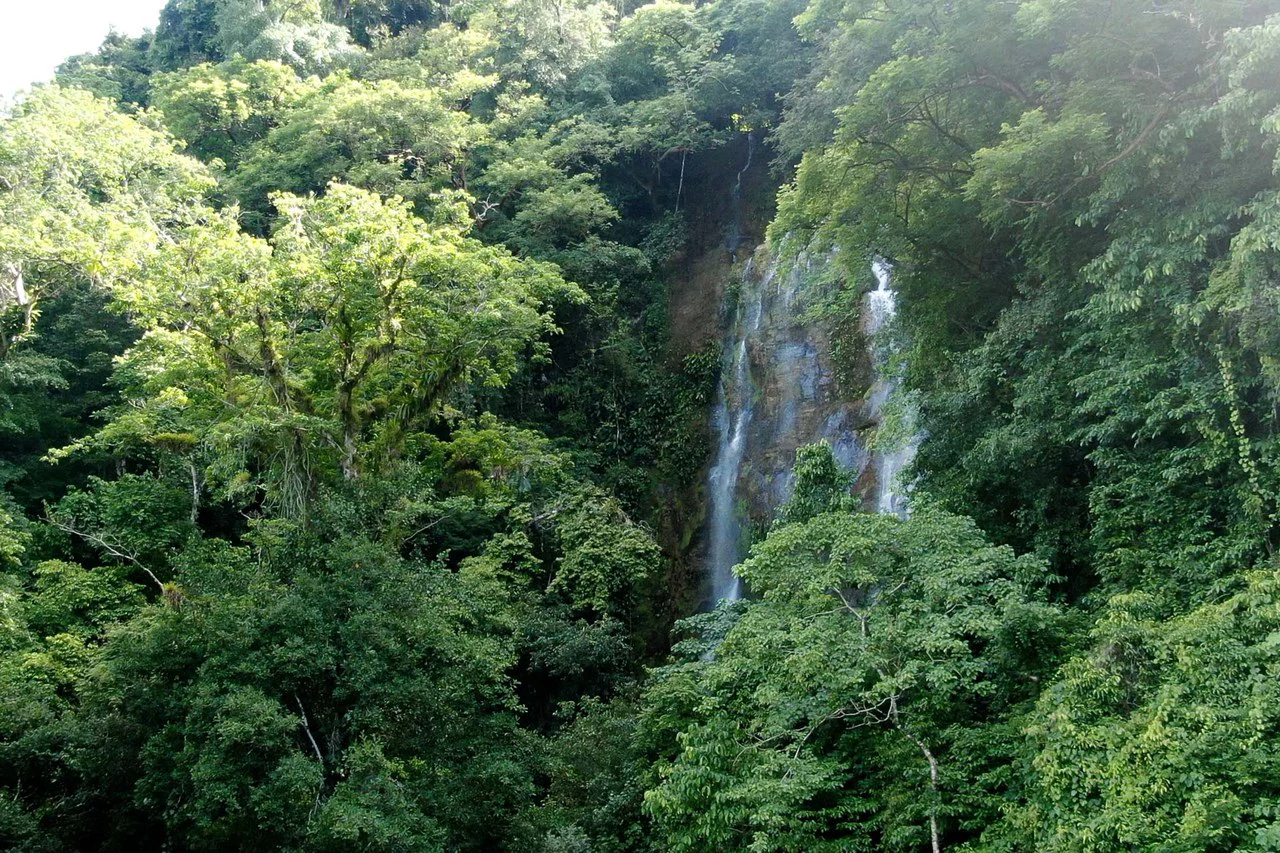 Luxury Waterfall-View Home with Guest House near Dominical, Costa Rica: Mountain House For Sale in Dominical - Gallery image 57