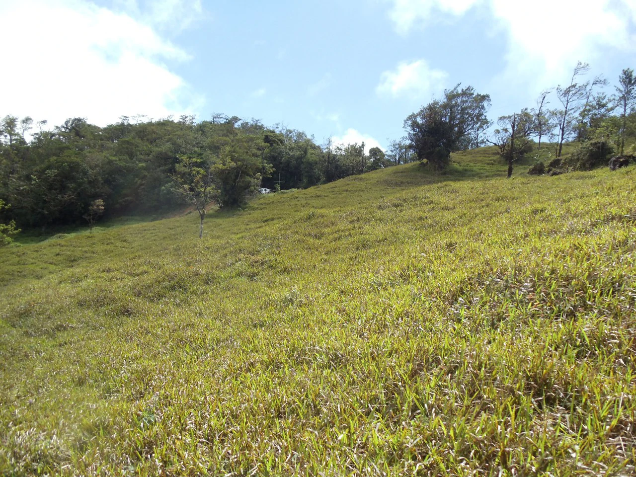 Fantastic property near Biological Reserve - Gallery image 16