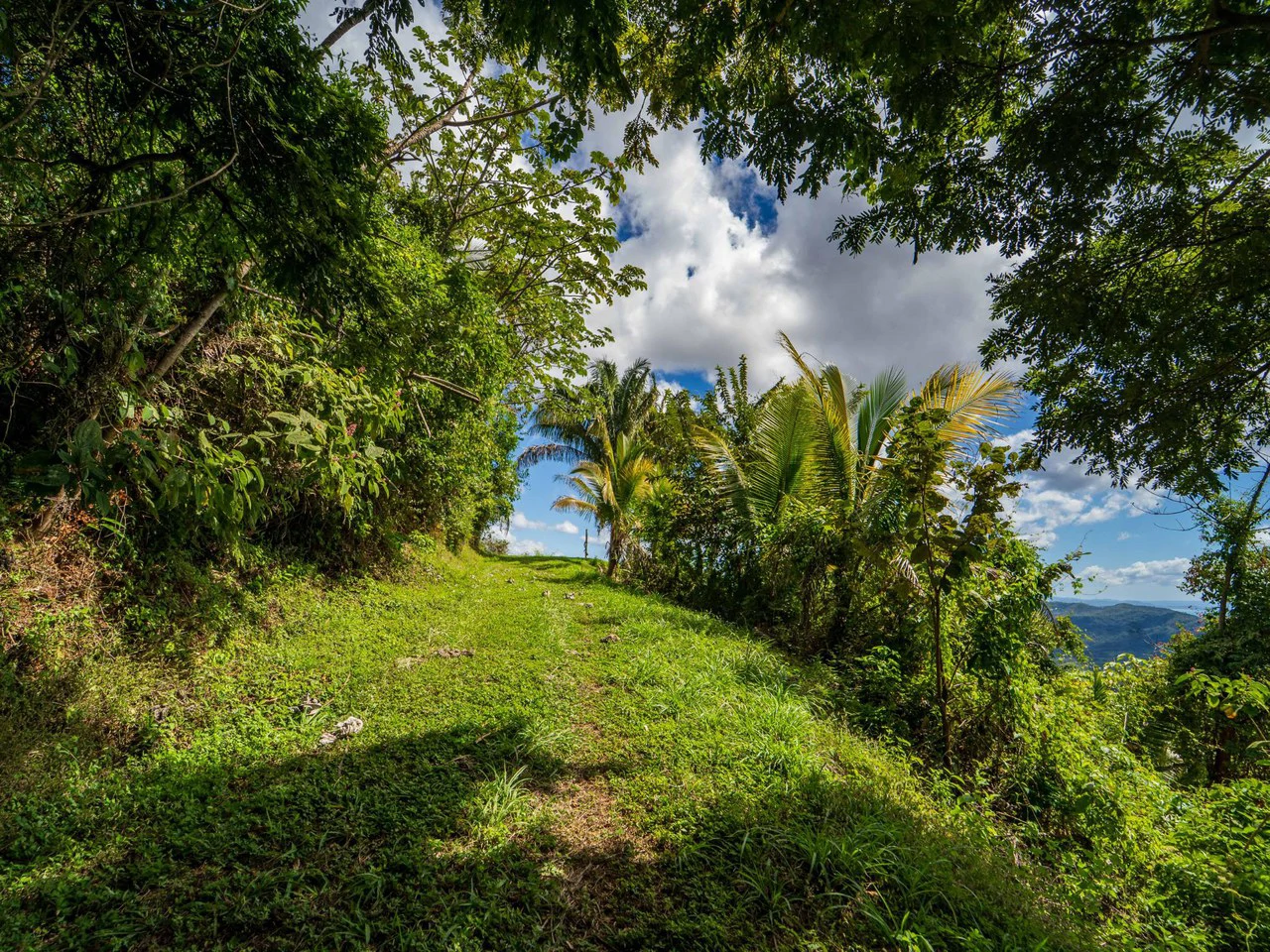 Lote Tres Palmas: Stunning Ocean View lot with 2 Platforms - Gallery image 8