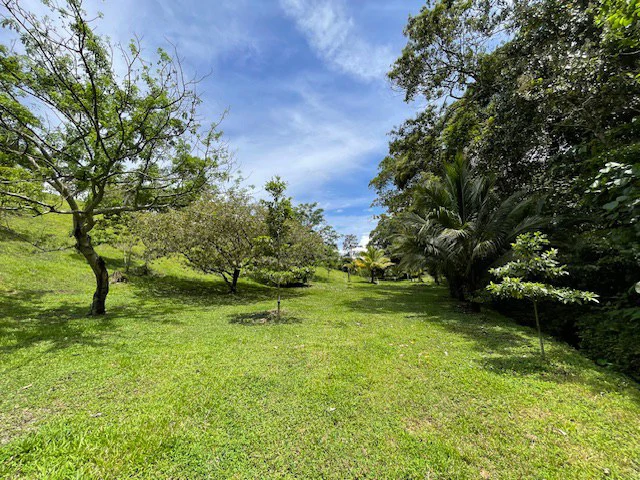 LG-001: Rare 3.36-Acre Lakefront Estate Lot in Nuevo Arenal | Direct Lake Access, Volcano Views & Subdivision Potential - Gallery image 17