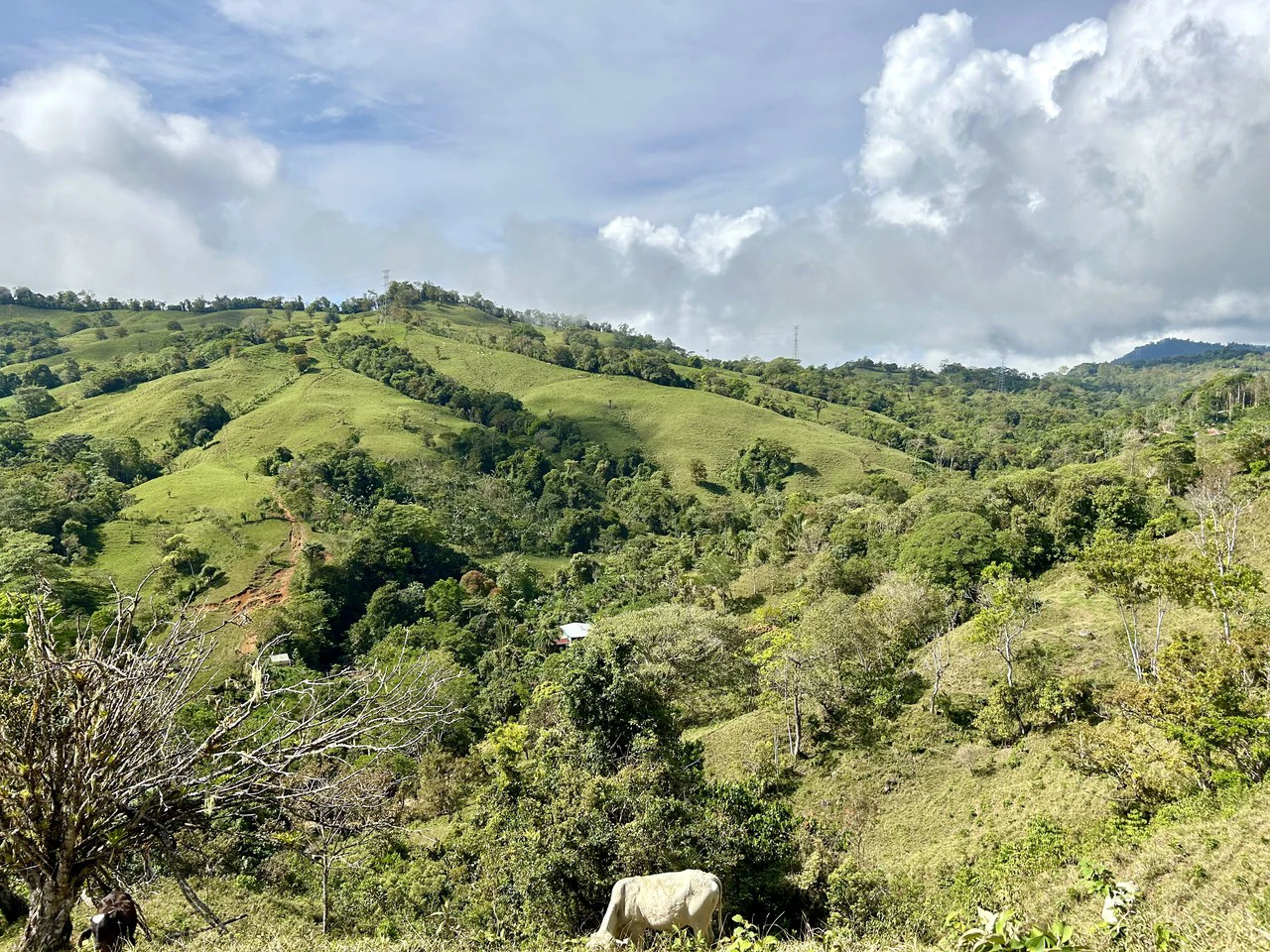 Finca Ceibo Memo: Mountain Home Construction Site For Sale in San Isidro del General - Gallery image 37