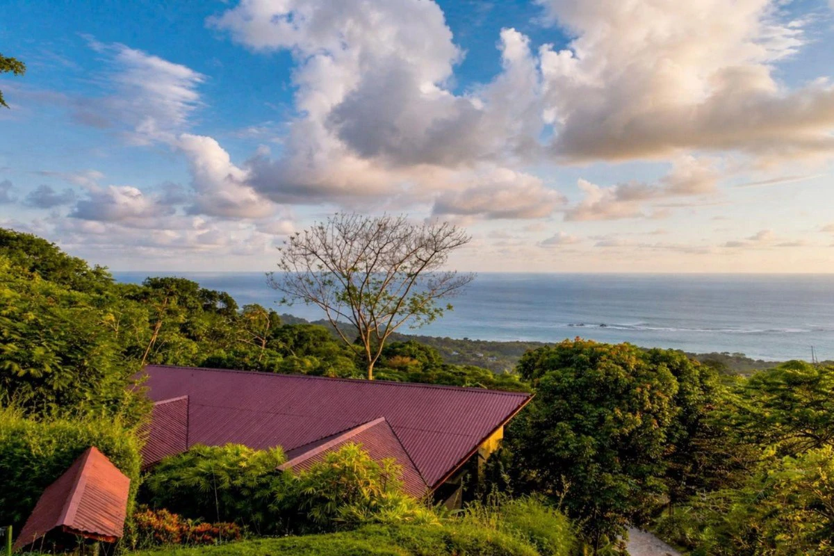 4.6 ACRES – 4 Bedroom Ultra-Private Oceanview Luxury Estate Surrounded by Rainforest!!! - Gallery image 49