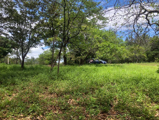 Mountain Farm for Sale in Liberia – Nature, Privacy, and High Investment Potential - Gallery image 35