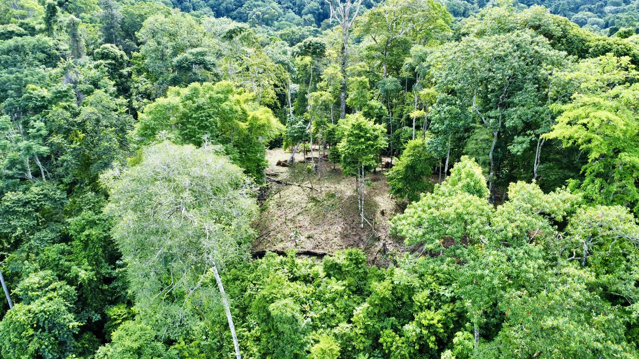Marvelous Ocean View Parcel in Uvita. - Gallery image 2