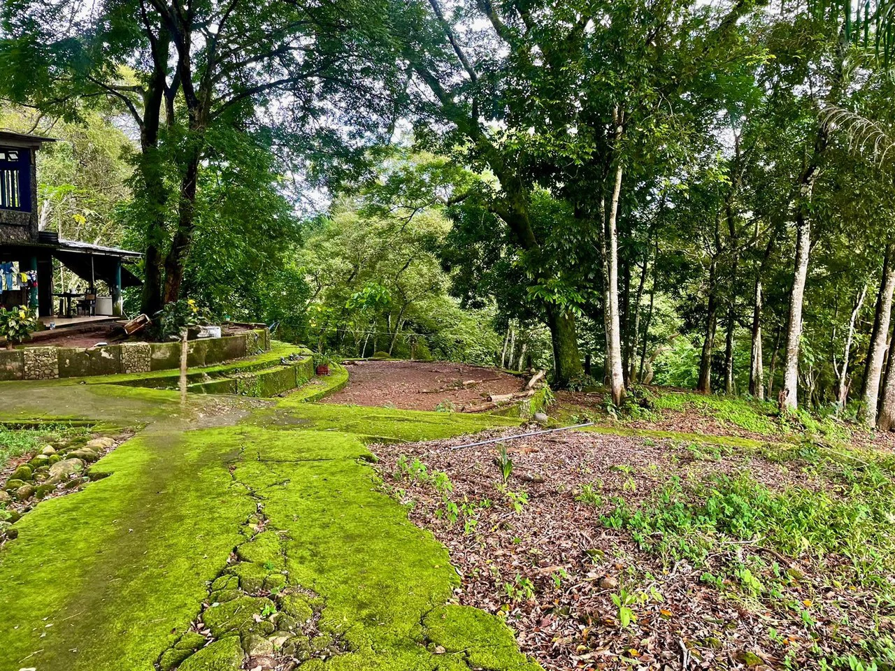 Property for Sale for Tourism Development with River in Orotina Alajuela Costa Rica - Gallery image 4