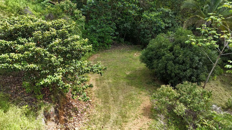 Gorgeous Ocean View Acreage in San Buenas - Gallery image 10