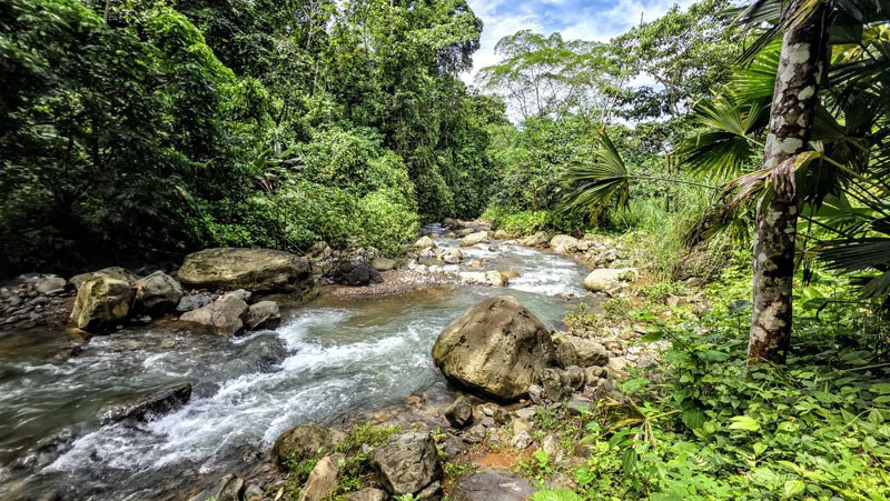Waterfall Estate, Dos Bocas, Dominical Featuring Twin Waterfalls, Springs, Creeks & Rivers - Gallery image 34