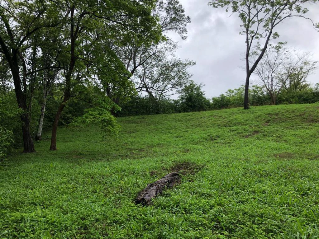 Lot in exclusive Residential, close to Beach Tamarindo - Gallery image 16