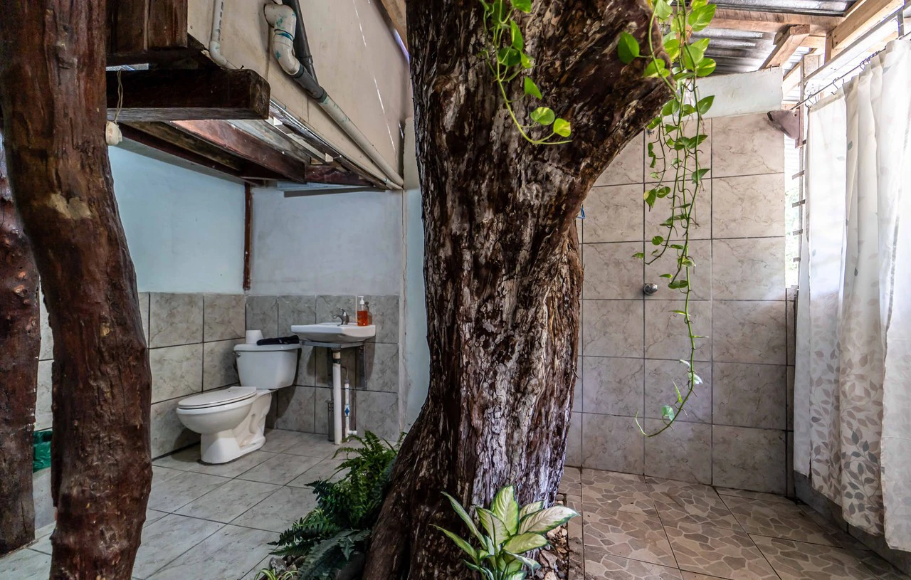 Casita San Fernando - 2BR Tico Home: Countryside House For Sale in Playa Samara - Gallery image 16