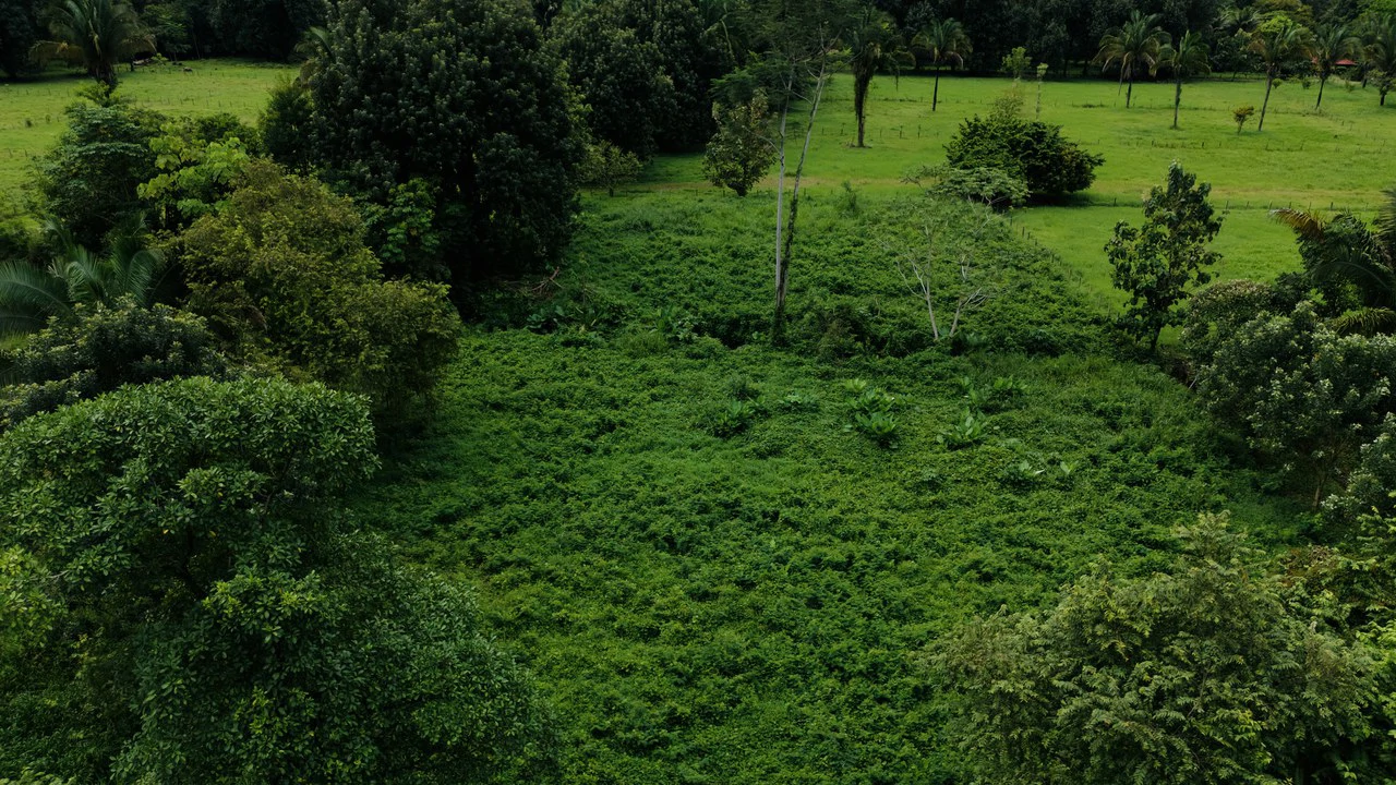 Strategic 5000sqm Commercial Property in Uvita: Perfect for any Business Vision