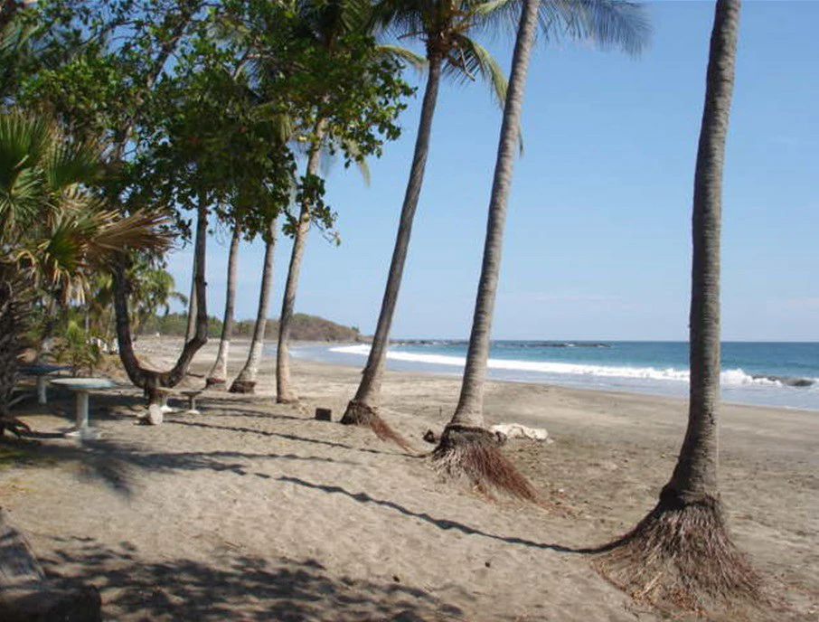 Ocean View Property in Junquillal – Excellent Investment Opportunity - Gallery image 2