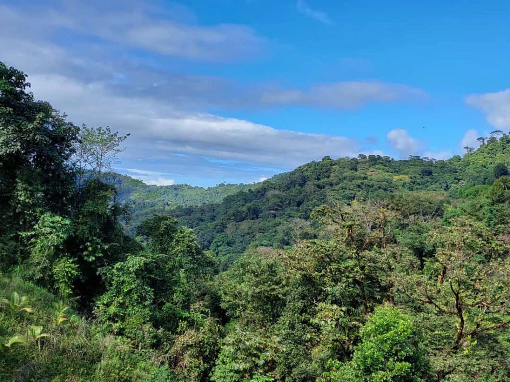 SECLUDED PARADISE WITH STUNNING VIEWS, WATERFALLS & ABUNDANT WILDLIFE - Gallery image 19