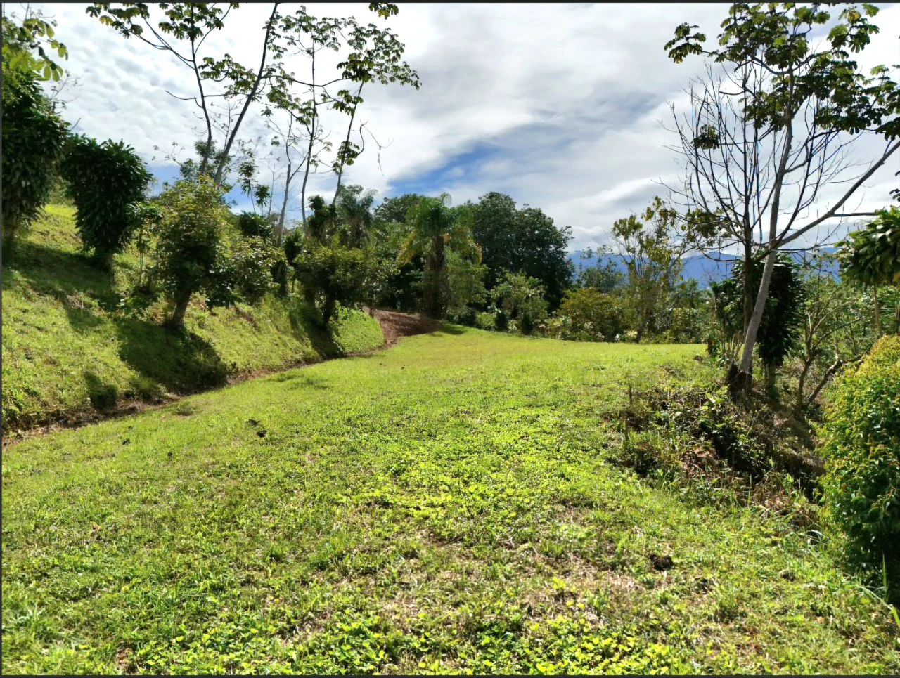 Mountain Home Construction Site For Sale in Miravalles - photo 3