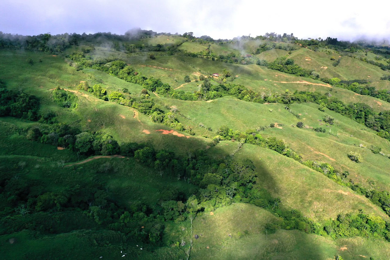 150 Acre Cattle Ranch with Panoramic Views Above the mountains of Uvita - Gallery image 12