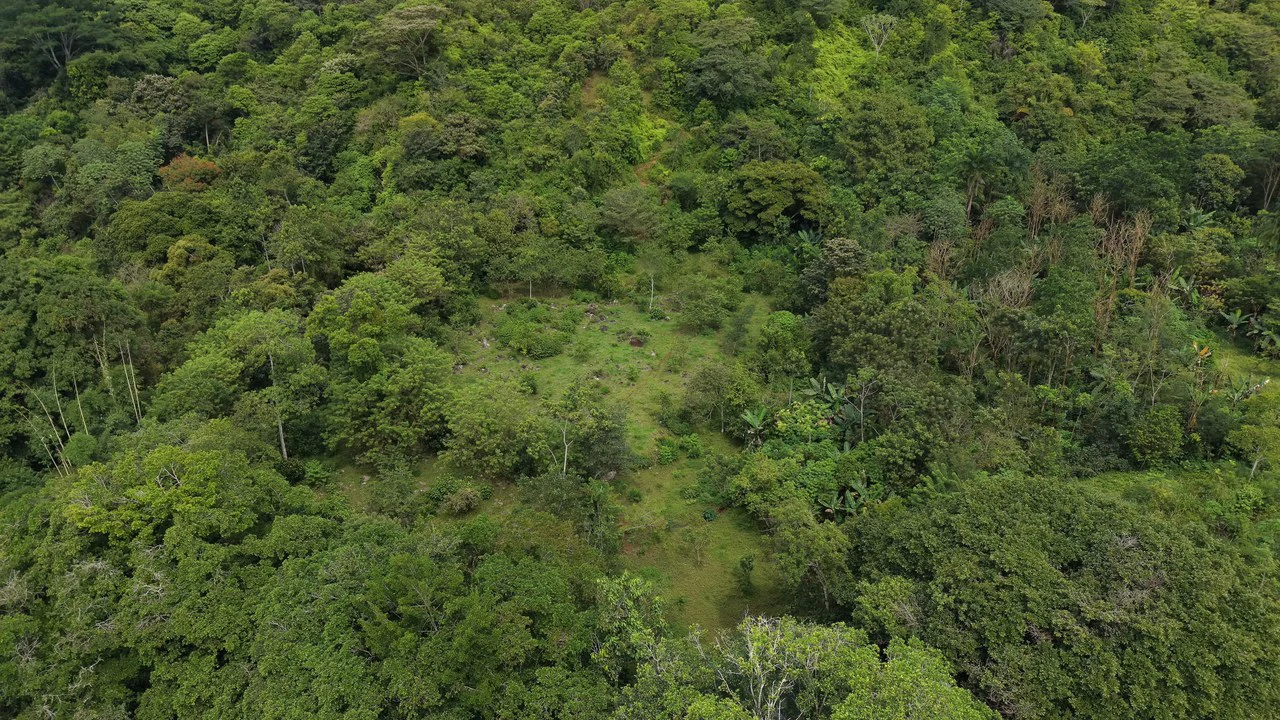 Mountain Home Construction Site For Sale in San Isidro del General - photo 16