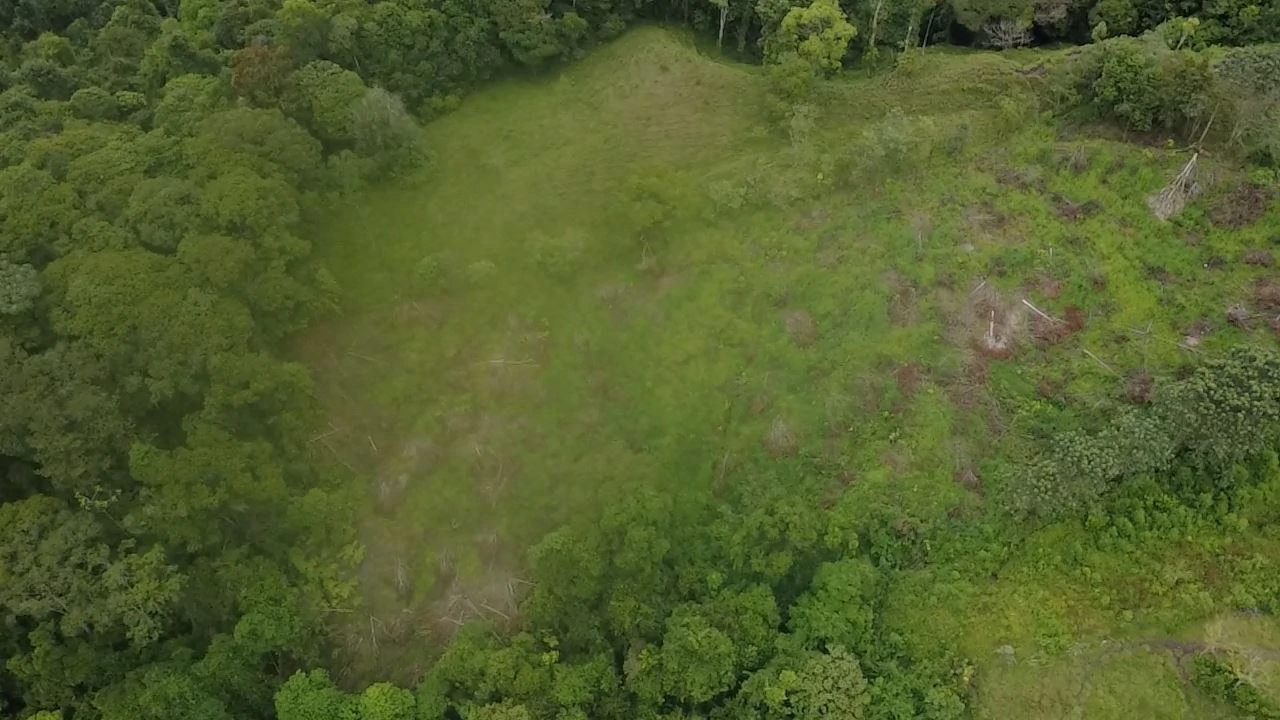 Lot for sale, located in San Blas, Perez Zeledon: Almost 1.4 hectares of land for sale with open views of the General Valley. - Gallery image 3
