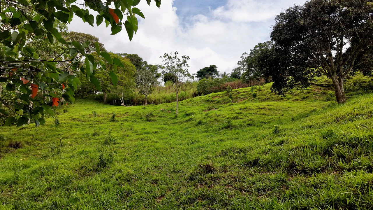 Countryside Home Construction Site For Sale in Centro de Pérez Zeledón - Gallery image 21