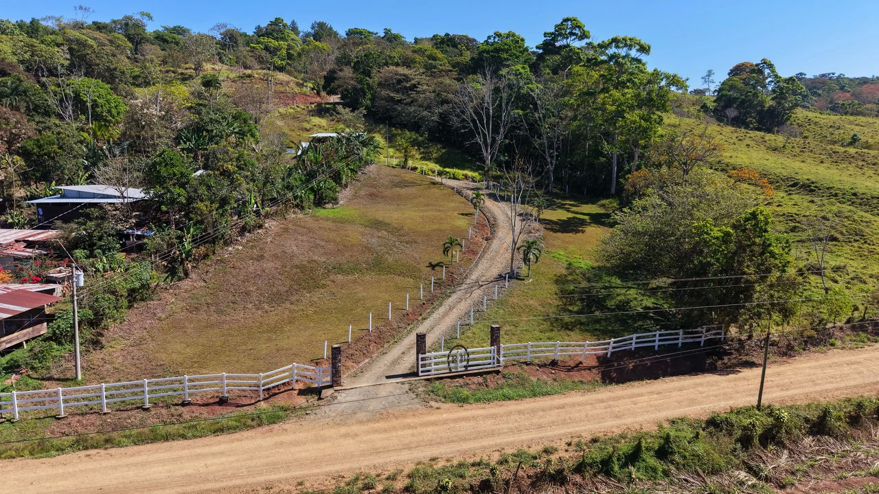 Agricultural Land For Sale in Daniel Flores - Gallery image 2