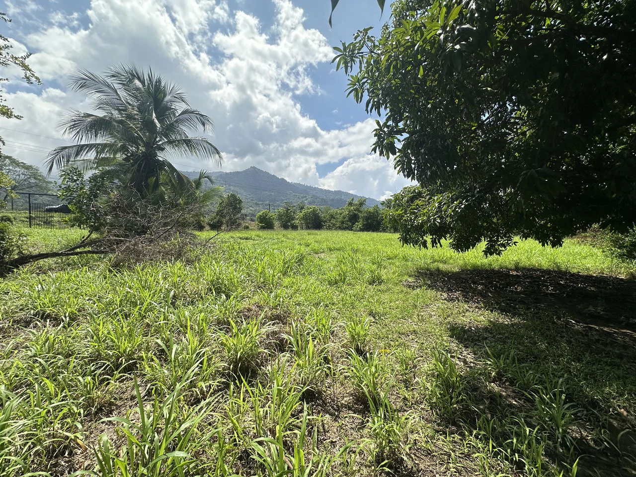 Development Parcel For Sale in Portalon - Gallery image 12