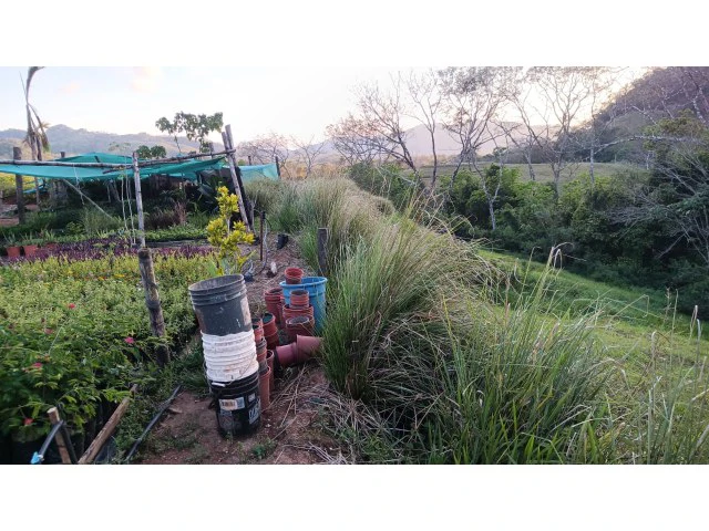 Exclusive lot for sale in Hojancha's green, tropical, rolling mountains, just 3 minutes from town - Gallery image 5