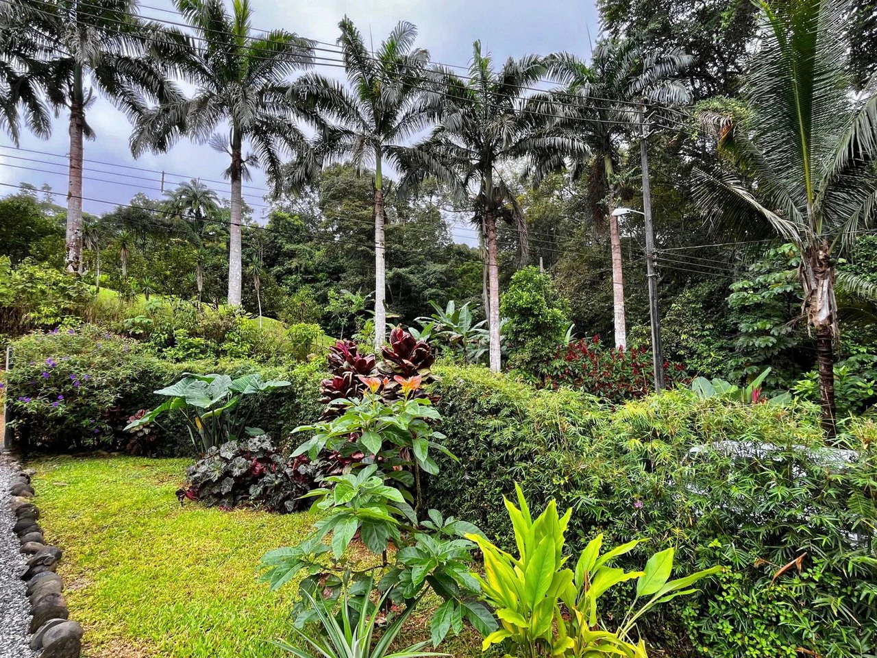 0.19 ACRES – 3 Bedroom Container Homes With Additional Building Lot,15min to Dominical and Beaches!! - Gallery image 20