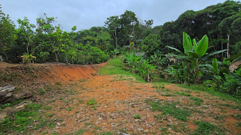 Finca Makambu: Countryside, Mountain, Near the Coast and Riverfront Property For Sale in Barú - Gallery image 12