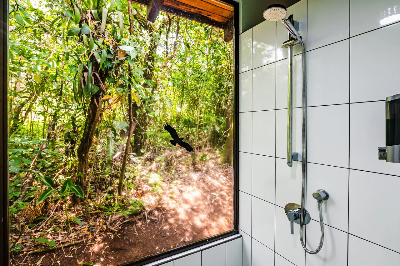 Casitas Tenorio B&B: Turnkey Eco-Lodge in Bijagua: Profitable Business, Sustainable Luxury, and Breathtaking Nature - Gallery image 43