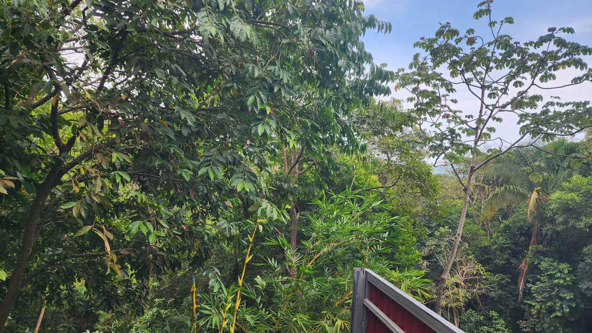 Manuel Antonio Villa: Manuel Antonio Villa with Subdividable Lot or Expansion - Gallery image 43