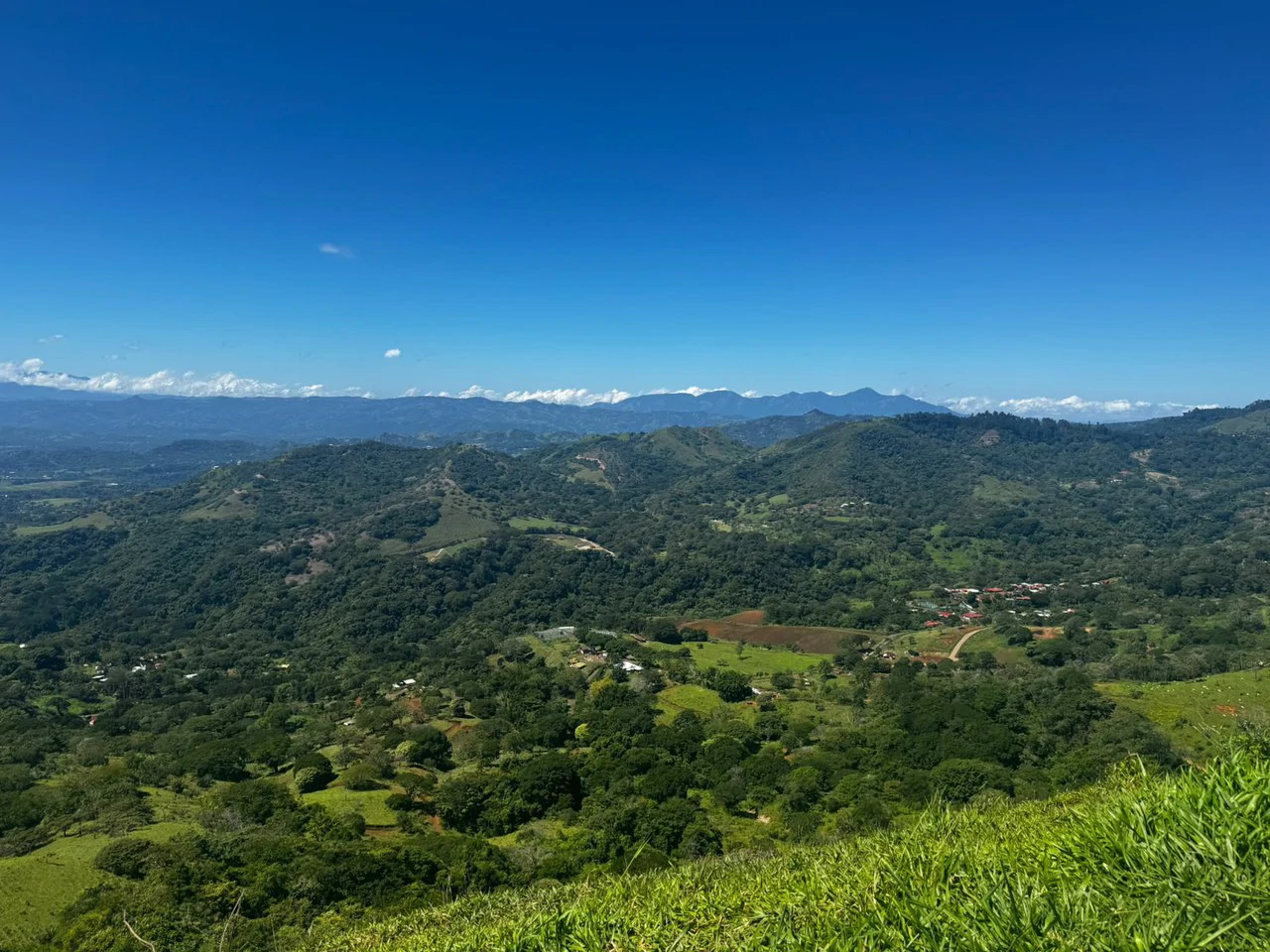 Historic Hilltop Sanctuary: ´Jurassic Park-like´ Development property! - Gallery image 16