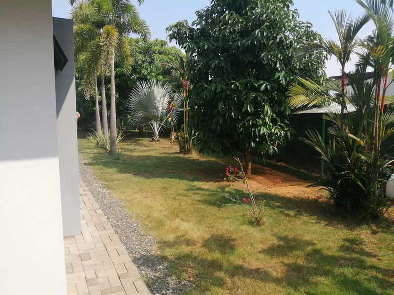 Beautiful Casa Irina, with pool and large yard: Close to the beach in tranquil Monterrey! - Gallery image 36