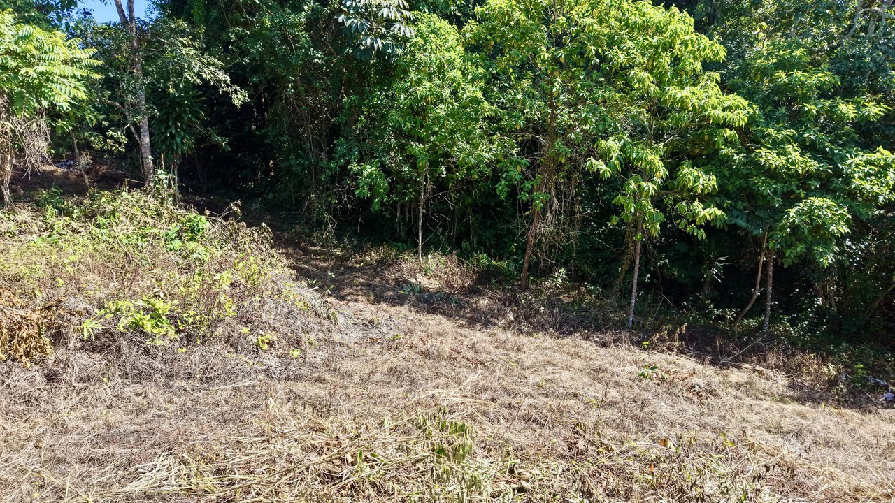 Home Construction Site For Sale in Pavones - Gallery image 32