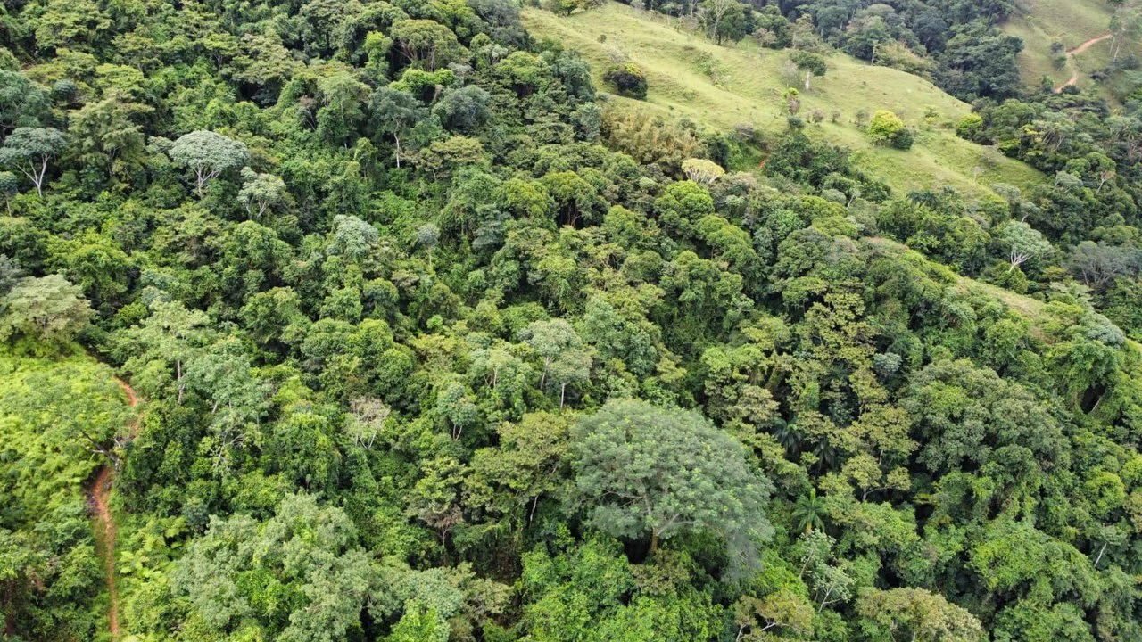 Se vende 39ha en Barú, Perez Zeledón: Mountain Home Construction Site For Sale in Barú - Gallery image 16