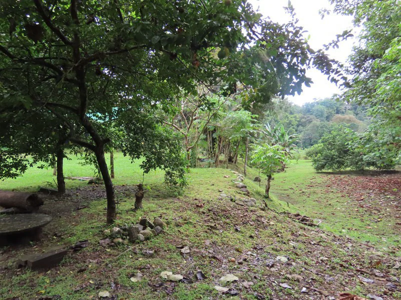Land For Sale in Dos Brazos, Puerto Jimenez, Ideal For Home Surrounded by Nature - Gallery image 13