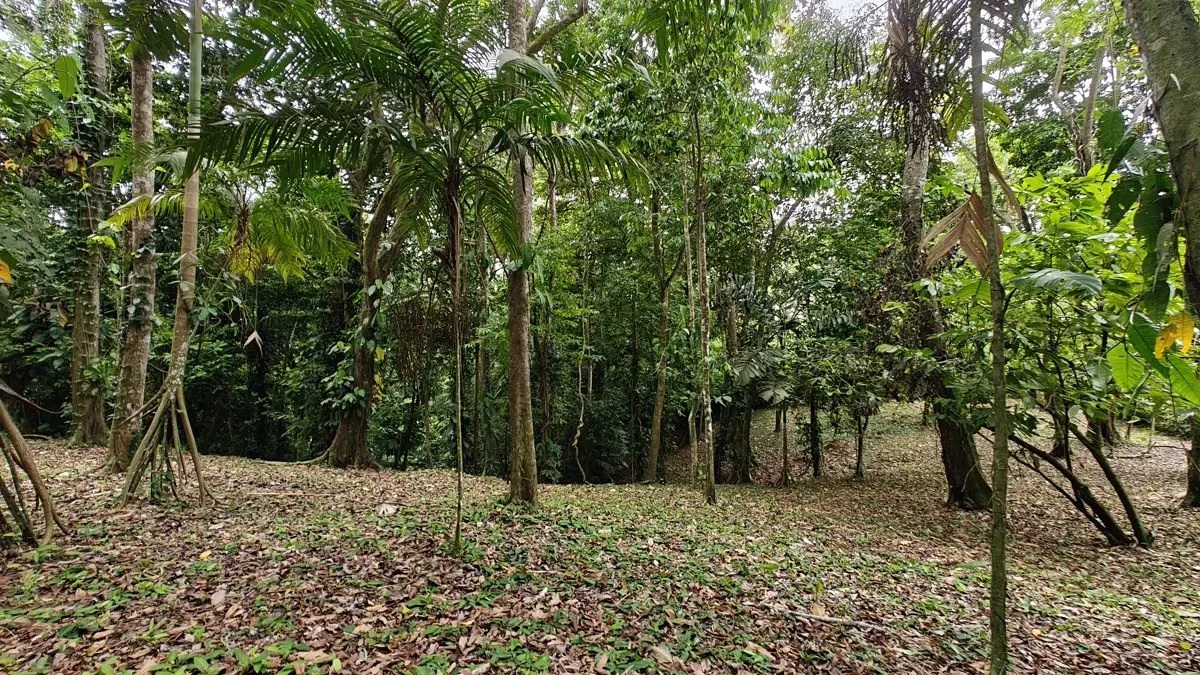 ID 1121: 1,979m² Titled Lot - Last Available Lot in Punta Uva Hills - Near Punta Uva Beach - photo 4