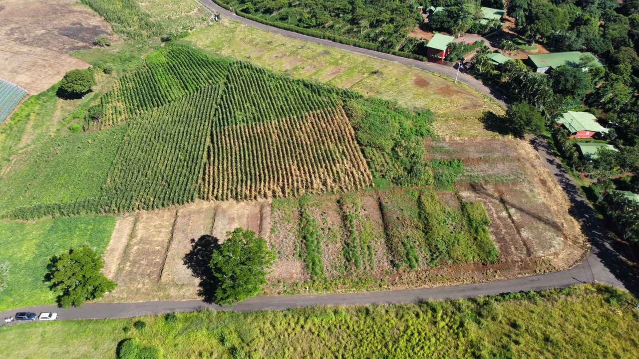 Attn: Developers!: 10 ha Prime Development Land Near Booming Free Zone Corridor - Gallery image 6