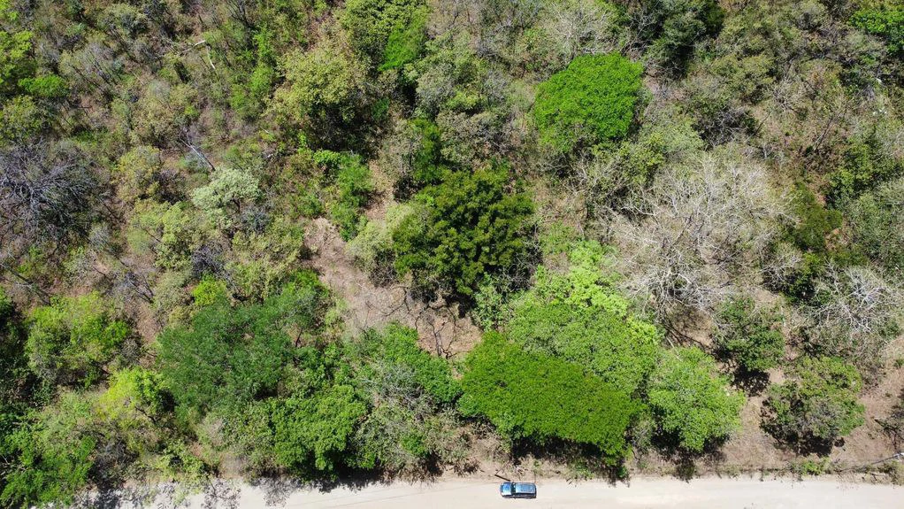5.67 Hectares in Puerto Viejo: Prime Development Parcel Just 2 Mins from the Beach - Gallery image 8