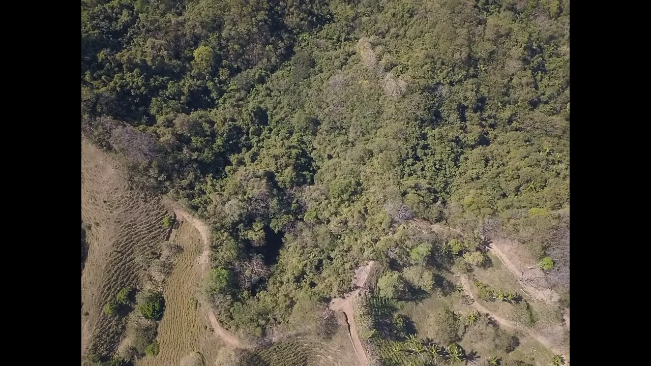 Finca Nora - Your Exclusive Tropical Paradise near Barrigona and Samara beach: Mountain Home Construction Site For Sale in Playa Samara - Gallery image 10