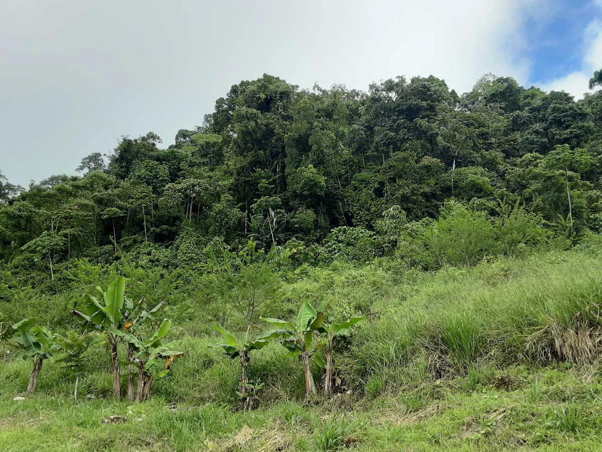 Finca Tesoro Escondido - The Jewel of Uvita - Gallery image 74