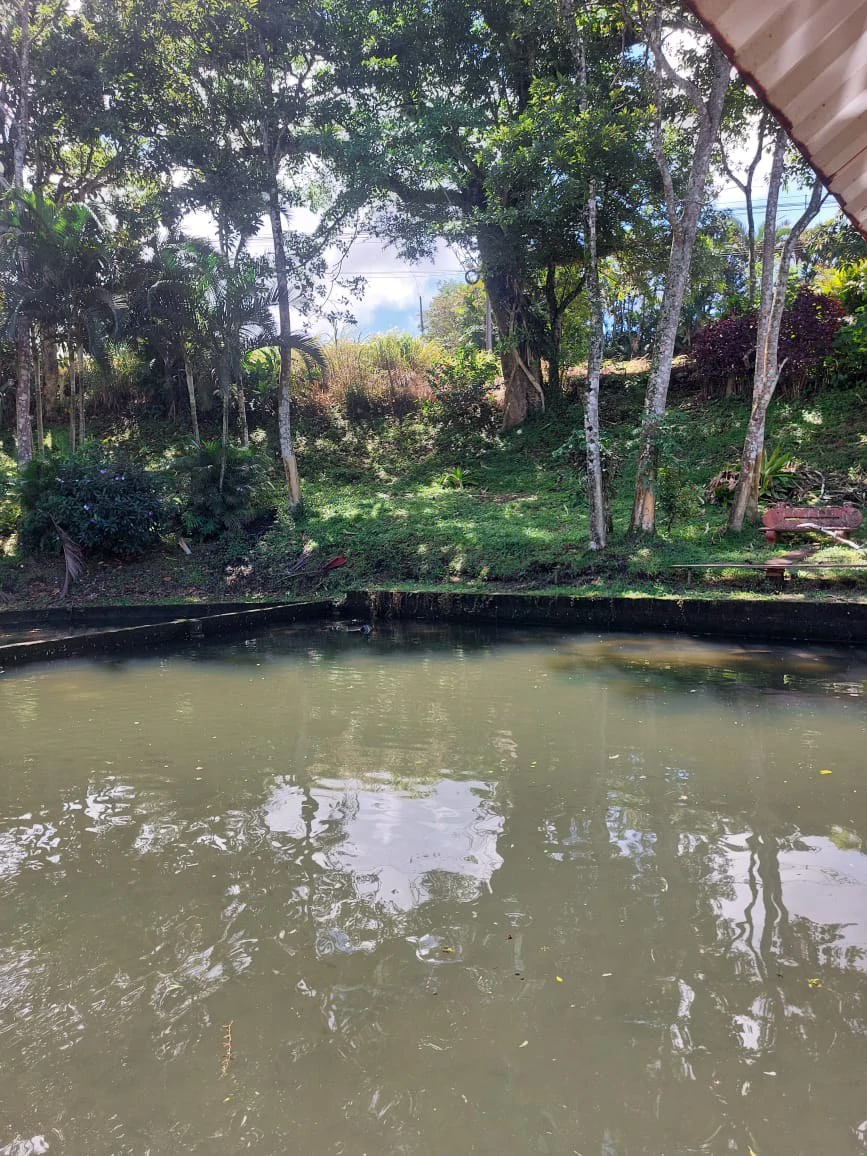 FINCA LA TEJONA - Gallery image 18