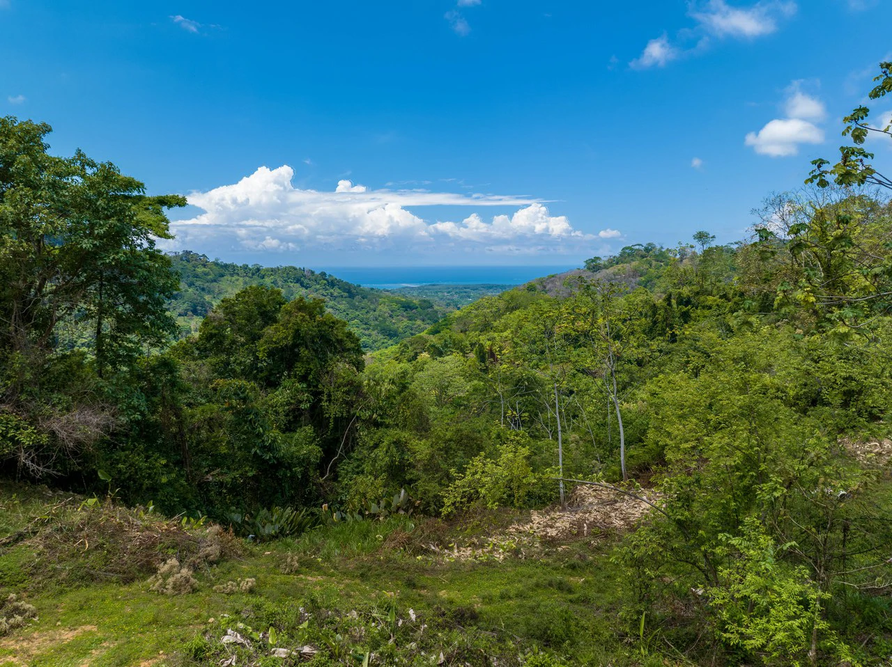 101 Acre Waterfall Riverfront and Ocean View Farm in Playa Uvita - Gallery image 20