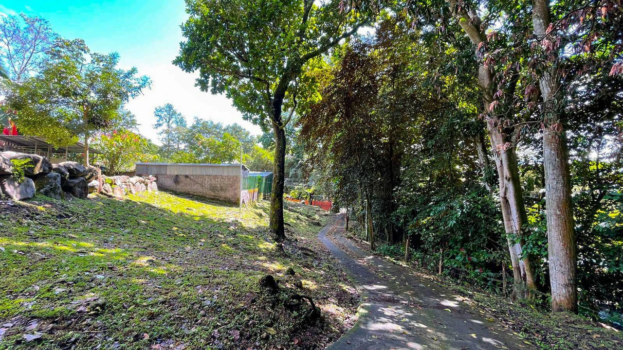 Home for sale in Atenas with Large Lot and Natural Surroundings - Gallery image 15