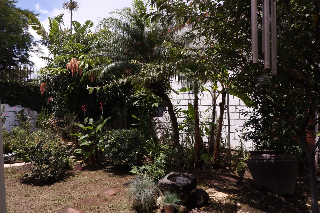 Casa Independiente de 4 Habitaciones en Los Laureles: House For Sale in Los Laureles - Gallery image 12