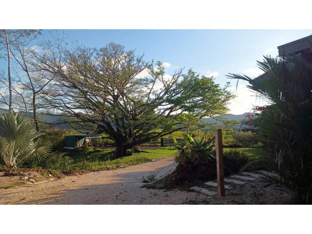 Stunning Dream Home and Pool with Separate cute smart Apartment building for Sale Surrounded by lush nature in the soft rolling hills of Hojancha - Gallery image 4