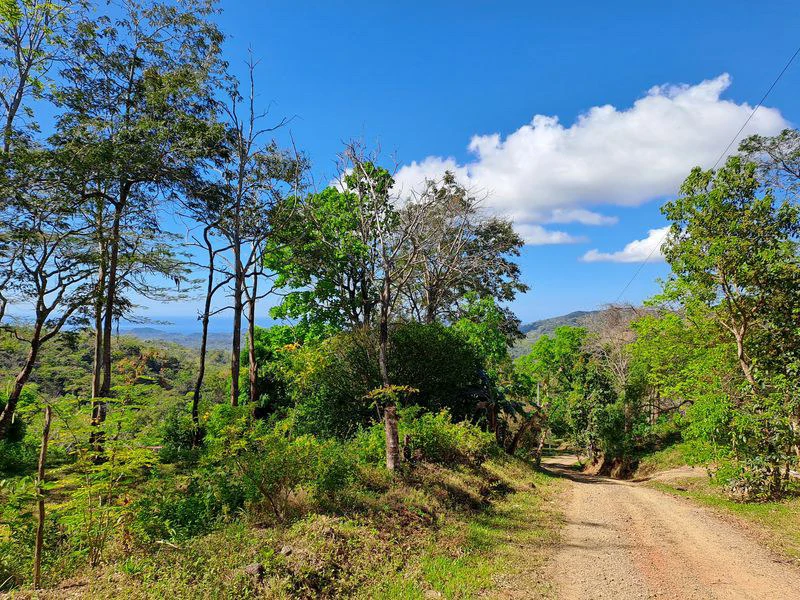 Lotes Mirador: Lotes Mirador, Breathtaking Lots with Stunning Ocean and Mountain Views, Large Building Pads, just 30 minutes from Samara Beach - Gallery image 9